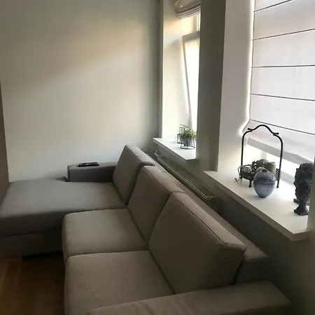 Διαμέρισμα N Downtown Studio Κάουνας
